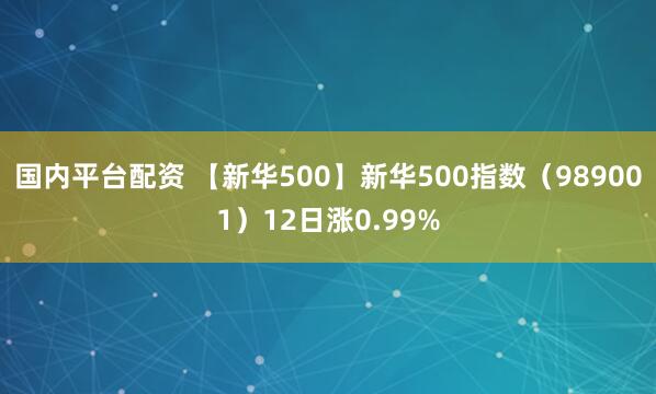 国内平台配资 【新华500】新华500指数（989001）12日涨0.99%