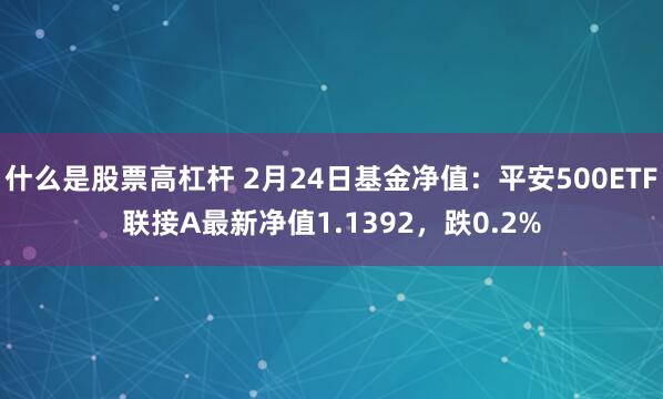 什么是股票高杠杆 2月24日基金净值：平安500ETF联接A最新净值1.1392，跌0.2%