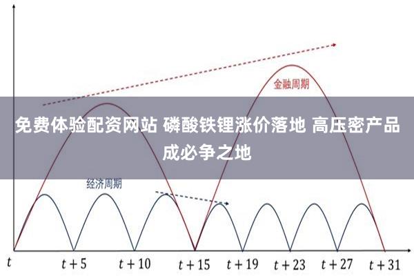 免费体验配资网站 磷酸铁锂涨价落地 高压密产品成必争之地