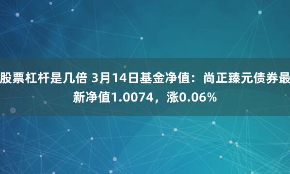 股票杠杆是几倍 3月14日基金净值：尚正臻元债券最新净值1.0074，涨0.06%